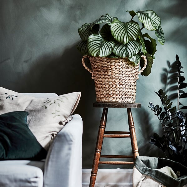 TÖRNBÄR plant pot, banana fibre handmade, 32 cm