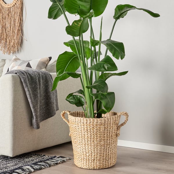 TÖRNBÄR plant pot, banana fibre handmade, 32 cm