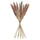 TORKA dried plants, bunch/reed, 70 cm