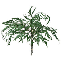 TORKA dried plants, bunch/green, 70 cm