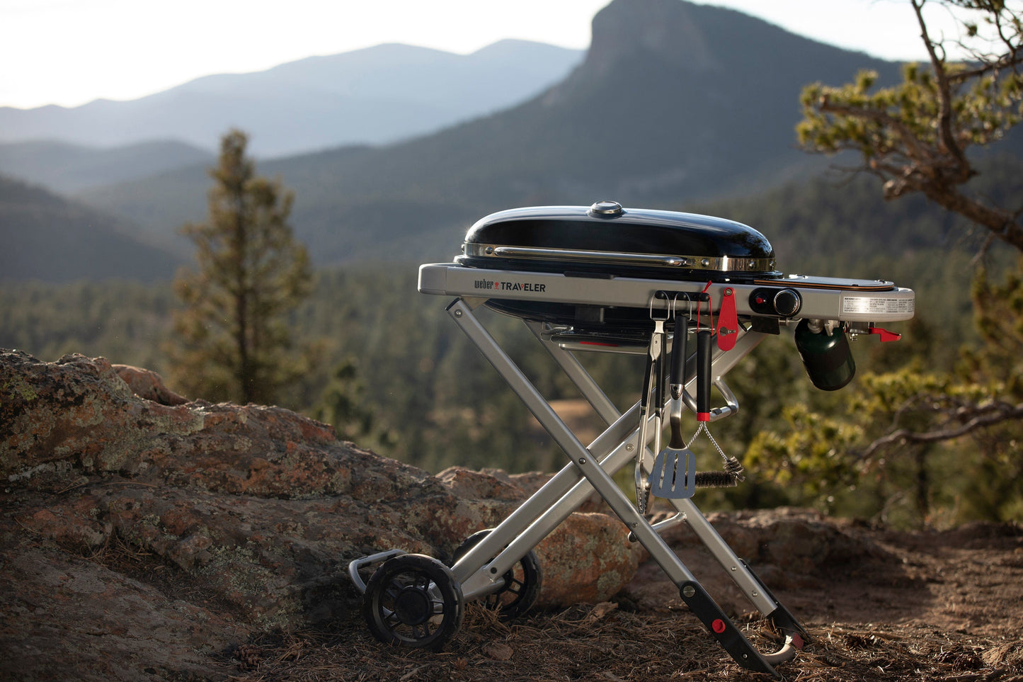 Bricocenter BBQ A GAS WEBER TRAVELER