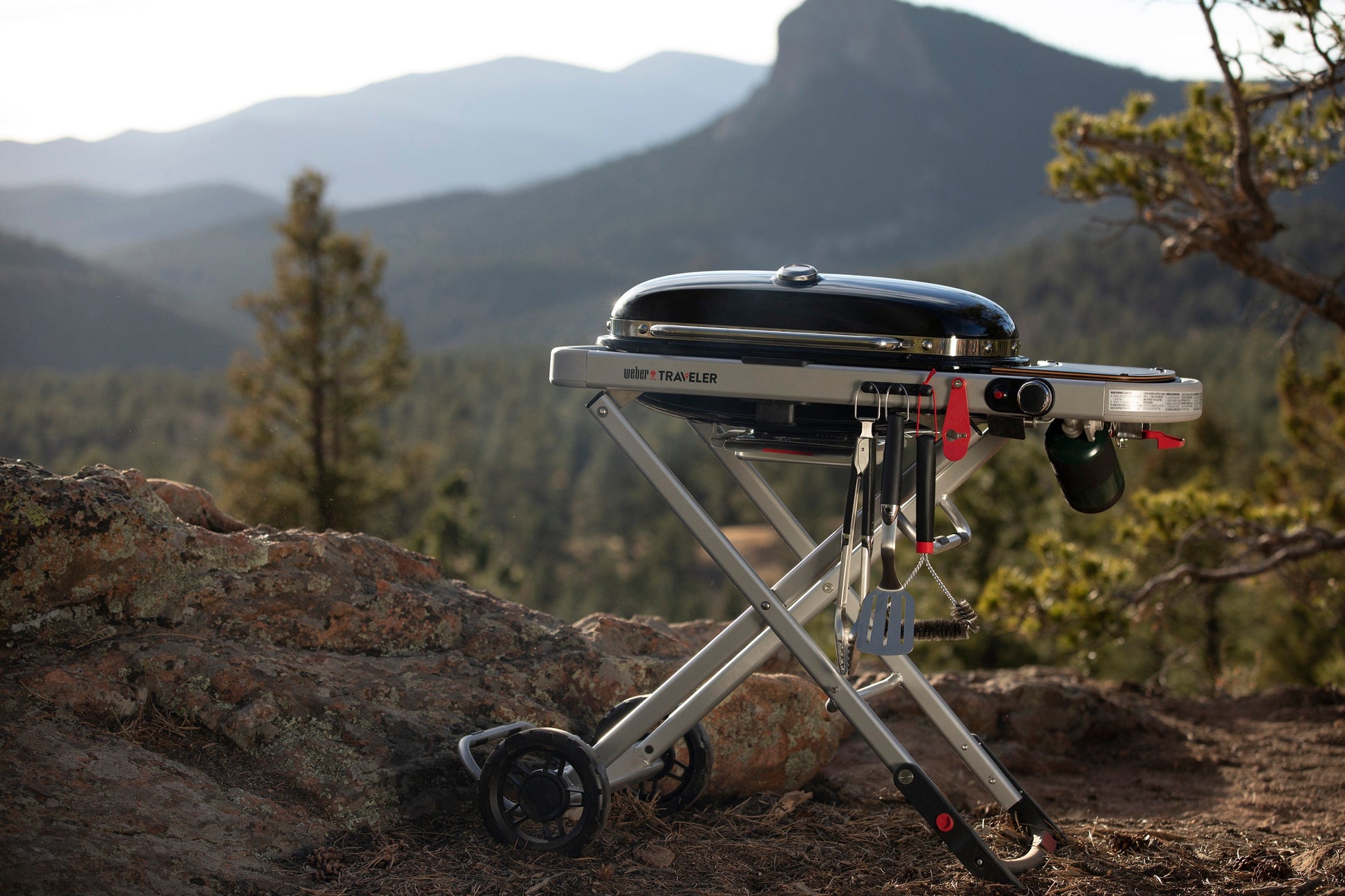 Bricocenter BBQ A GAS WEBER TRAVELER