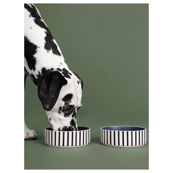 UTSÅDD - Pet bowl, stripe pattern black-blue/dark blue, 15 cm