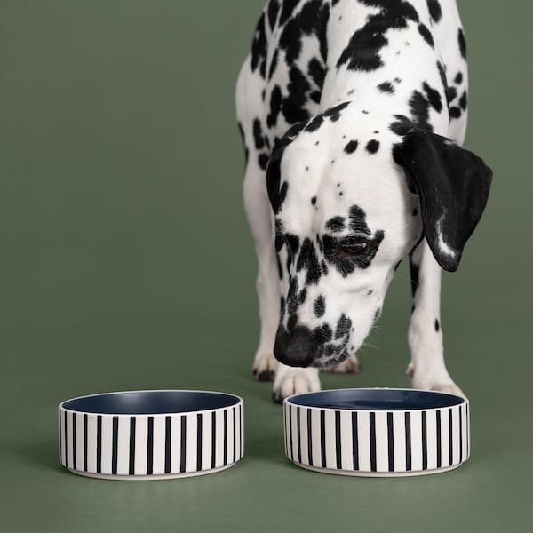 Ikea UTSÅDD - Pet bowl, stripe pattern black-blue/dark blue, 15 cm