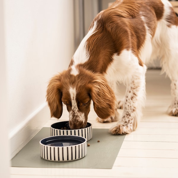 UTSÅDD - Pet bowl, stripe pattern black-blue/dark blue, 15 cm