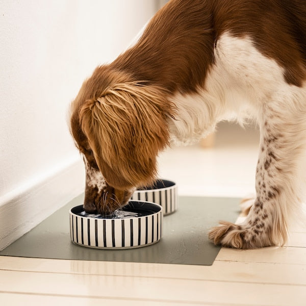 UTSÅDD - Pet bowl, stripe pattern black-blue/dark blue, 15 cm