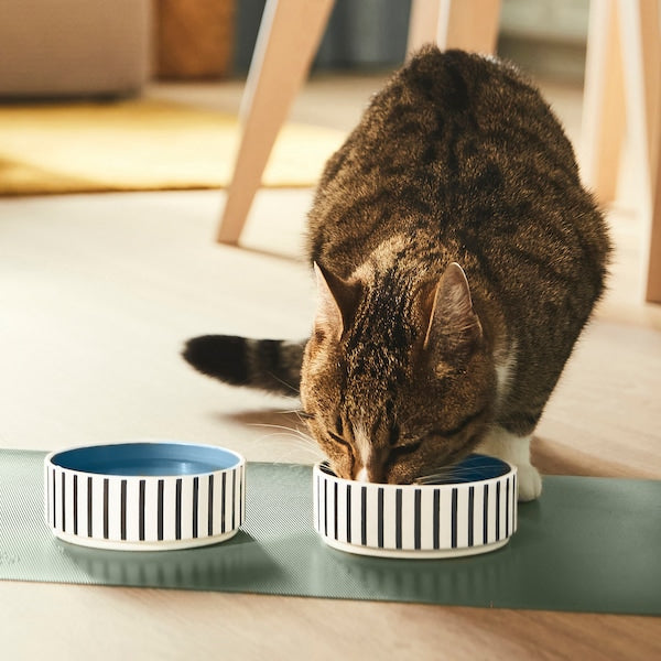 UTSÅDD - Pet bowl, stripe pattern black-blue/grey-blue, 11 cm