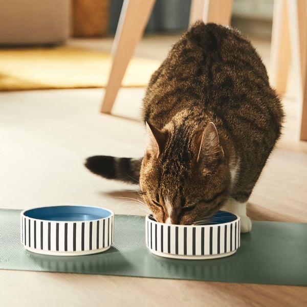 UTSÅDD - UTSÅDD Pet bowl, stripe pattern black-blue/grey-blue, 11 cm