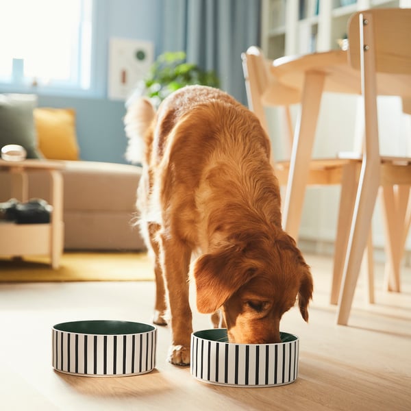 UTSÅDD - UTSÅDD Pet bowl, stripe pattern black-blue/grey-green, 19 cm