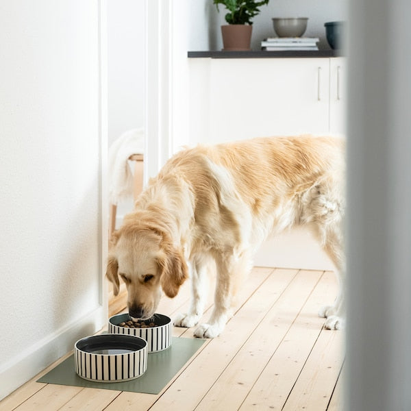 UTSÅDD - Pet bowl, stripe pattern black-blue/grey-green, 19 cm