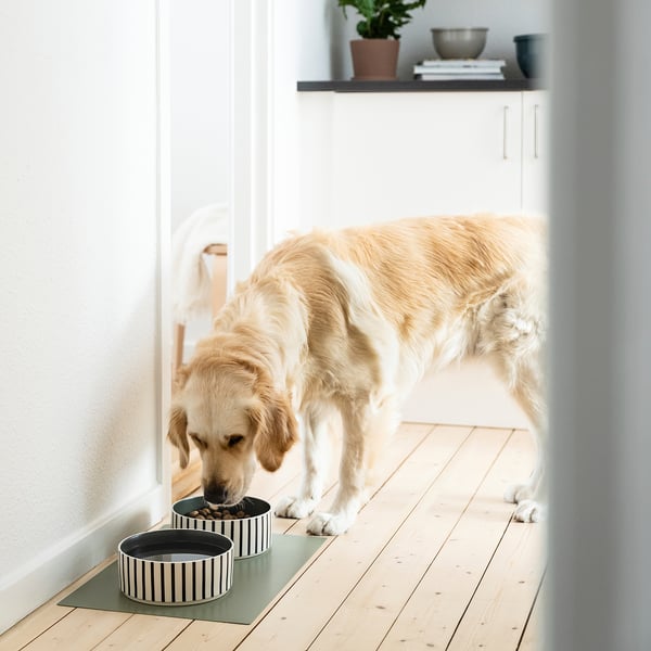 UTSÅDD - UTSÅDD Pet bowl, stripe pattern black-blue/grey-green, 19 cm