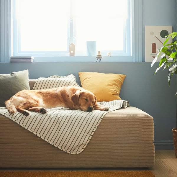 UTSÅDD pet blanket, green, 100x150 cm