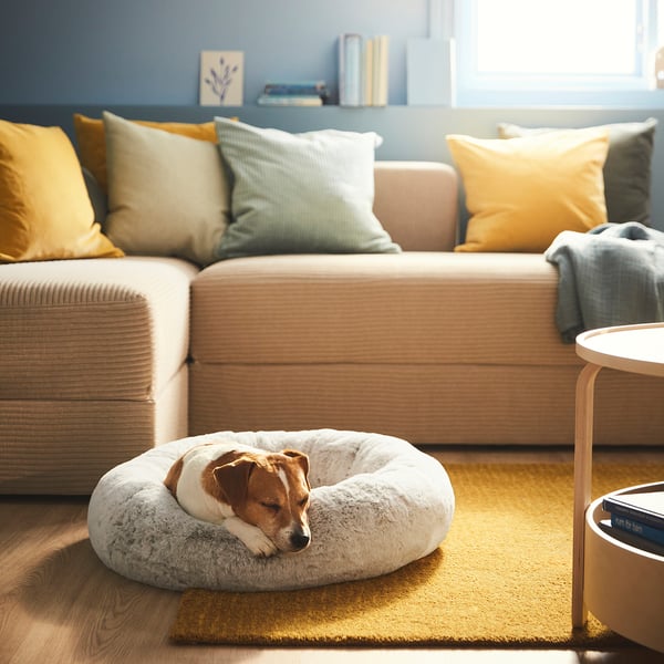 UTSÅDD pet bed, light grey, M