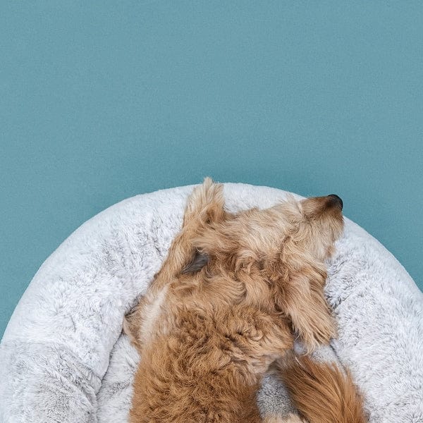 Ikea UTSÅDD - Kennel, light grey,M