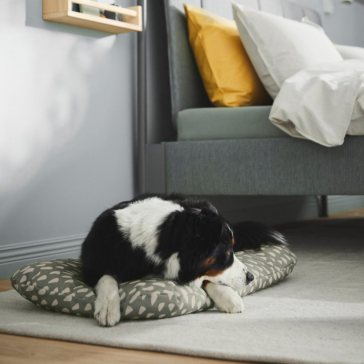UTSÅDD pet cushion, grey-green/off-white, 48x75 cm
