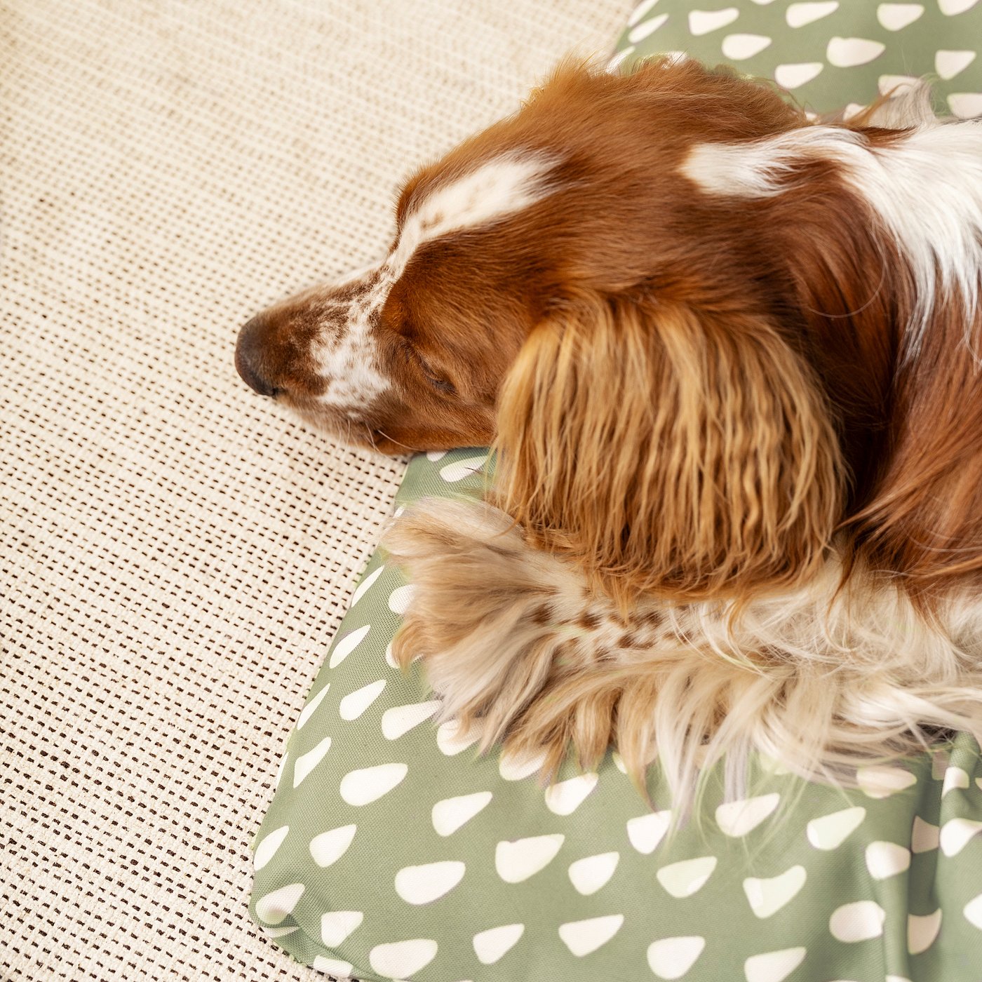 UTSÅDD pet cushion, grey-green/off-white, 64x102 cm