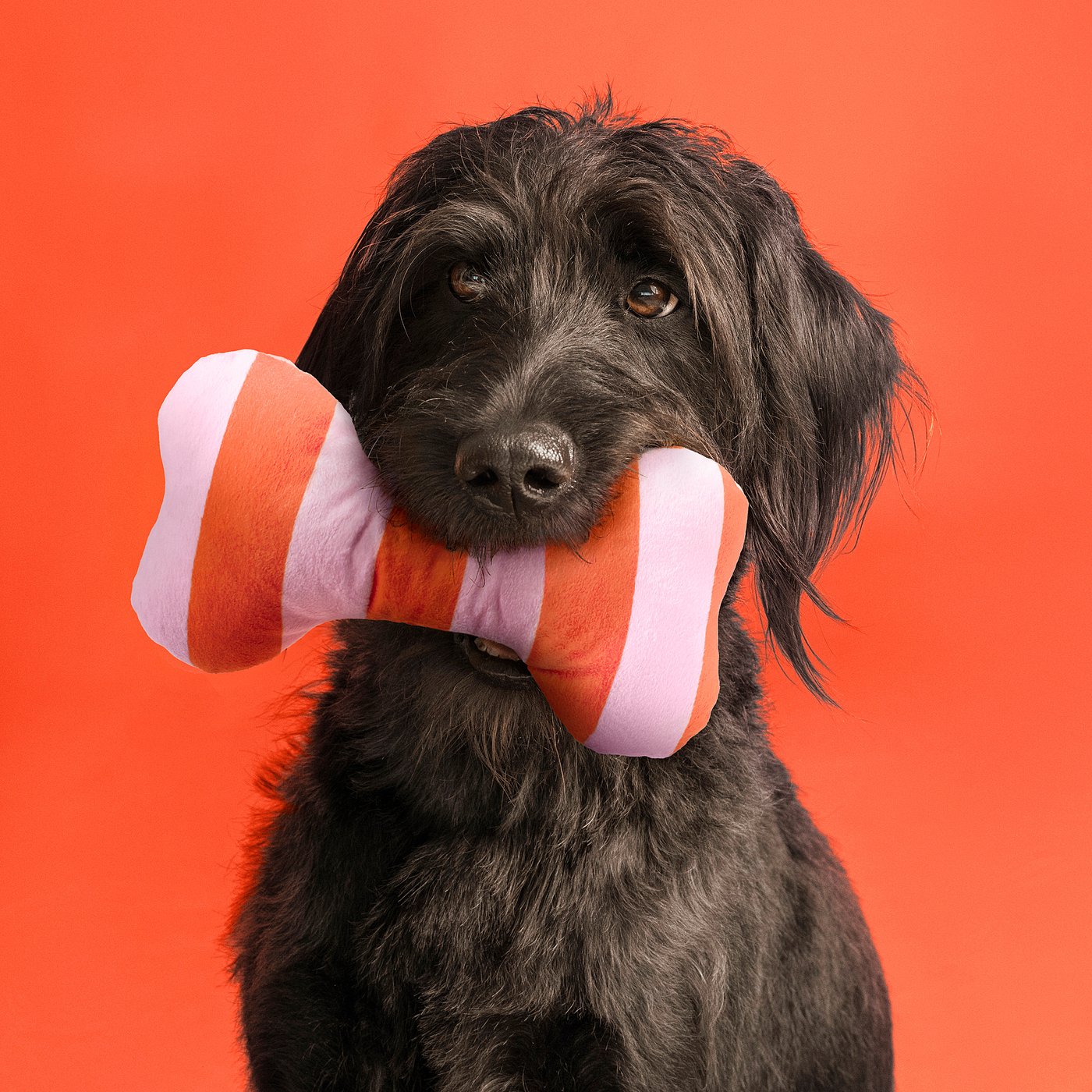 UTSÅDD soft toy for dog, striped/light pink bright orange