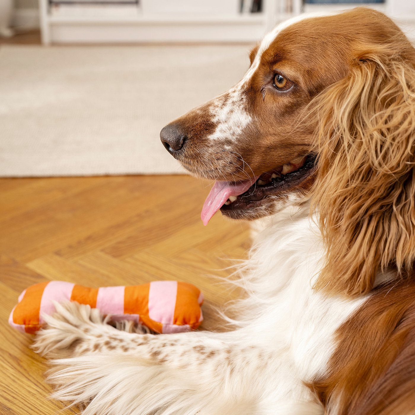 UTSÅDD soft toy for dog, striped/light pink bright orange