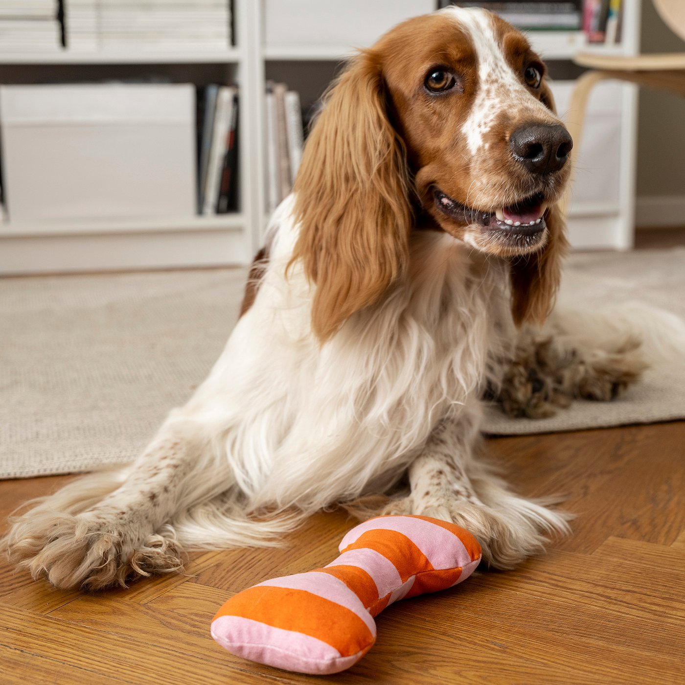 UTSÅDD soft toy for dog, striped/light pink bright orange
