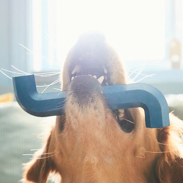 UTSÅDD - UTSÅDD Dog toy, dark blue