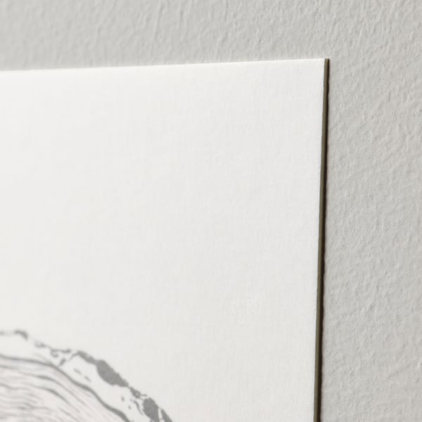 VÄXBO art card, shapes from nature, 13x18 cm, 8 pack