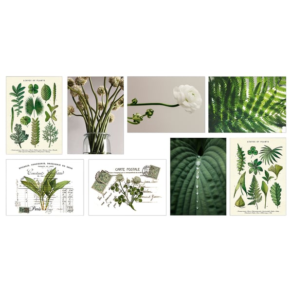 VÄXBO art card, shapes from nature, 13x18 cm, 8 pack