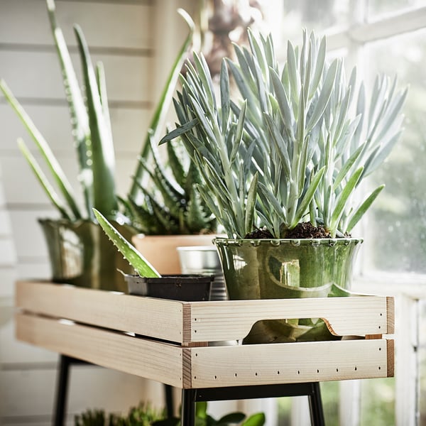 VANILJSTÅNG plant stand, pine/black, 67 cm