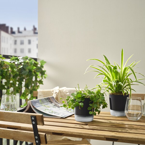 VÅRDTRÄD self-watering plant pot, in/outdoor transparent/anthracite, 9 cm