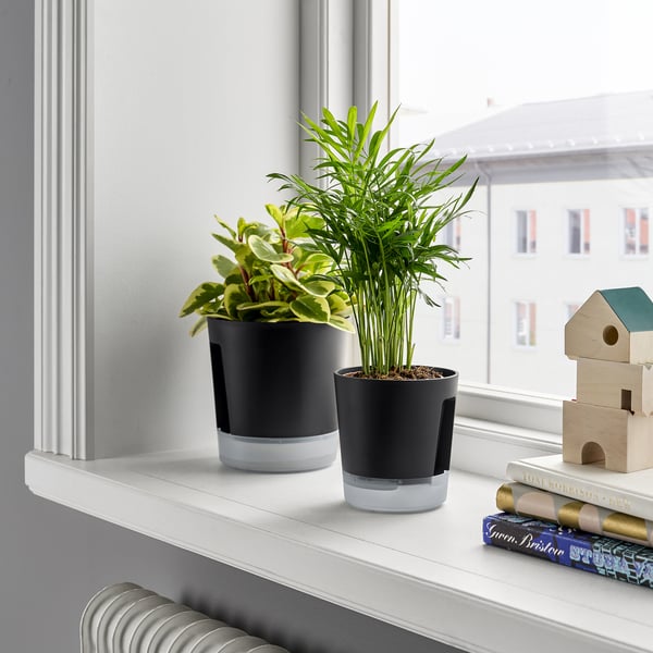 VÅRDTRÄD - VÅRDTRÄD Self-watering plant pot, in/outdoor transparent/anthracite, 9 cm