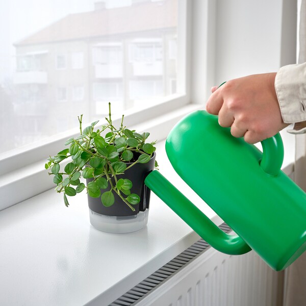 VÅRDTRÄD self-watering plant pot, in/outdoor transparent/anthracite, 9 cm