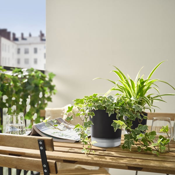 VÅRDTRÄD self-watering plant pot, in/outdoor transparent/anthracite, 12 cm