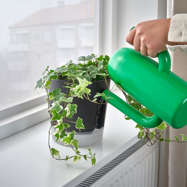 VÅRDTRÄD self-watering plant pot, in/outdoor transparent/anthracite, 15 cm