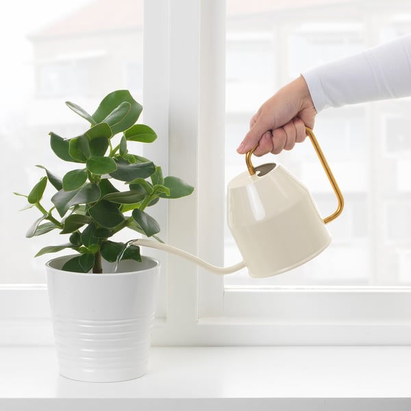 VATTENKRASSE - VATTENKRASSE Watering can, ivory/gold-colour, 0.9 l