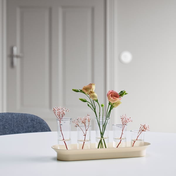 VATTENKRASSE propagation set, clear glass ivory/gold-colour, 26x8 cm