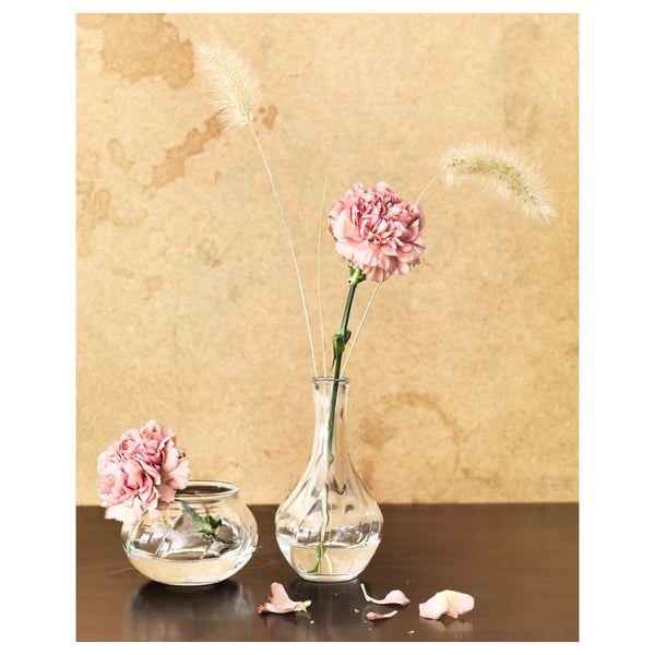 VILJESTARK vase, clear glass, 8 cm
