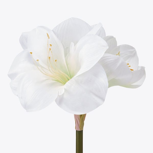 Ikea VINTERFINT - Artificial flower, in/outdoor/Amaryllis white, 60 cm