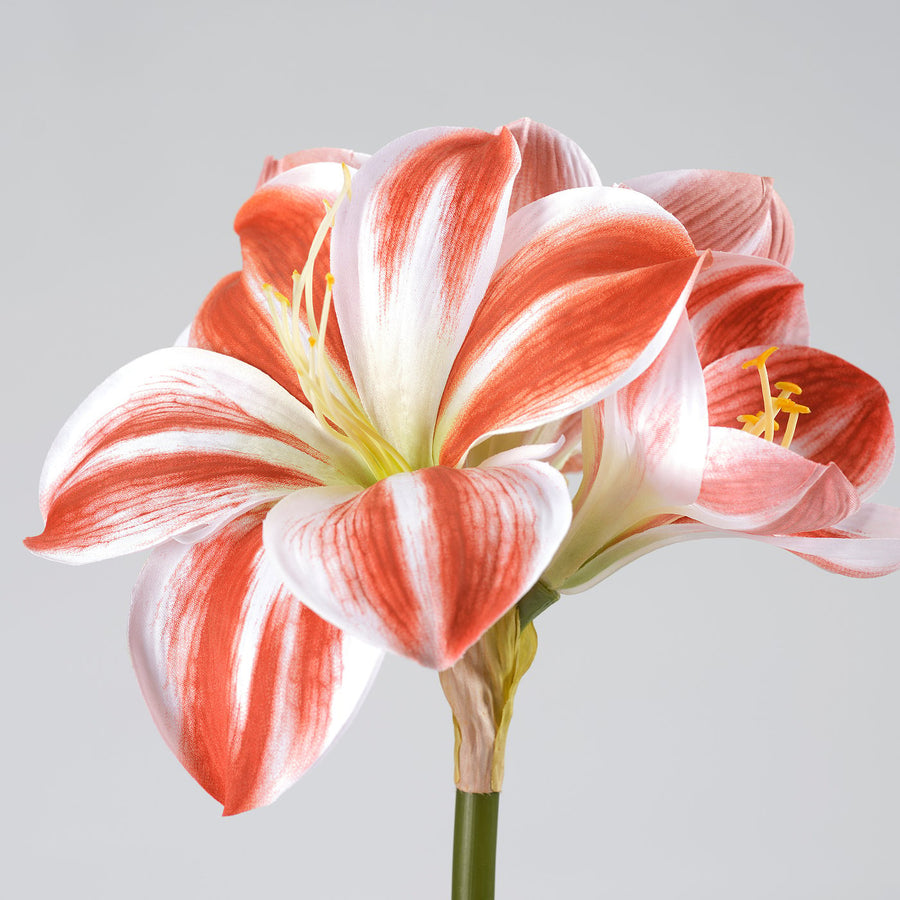 VINTERFINT artificial flower, in/outdoor Amaryllis/red white, 60 cm