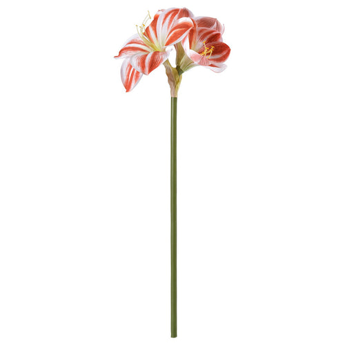 VINTERFINT artificial flower, in/outdoor Amaryllis/red white