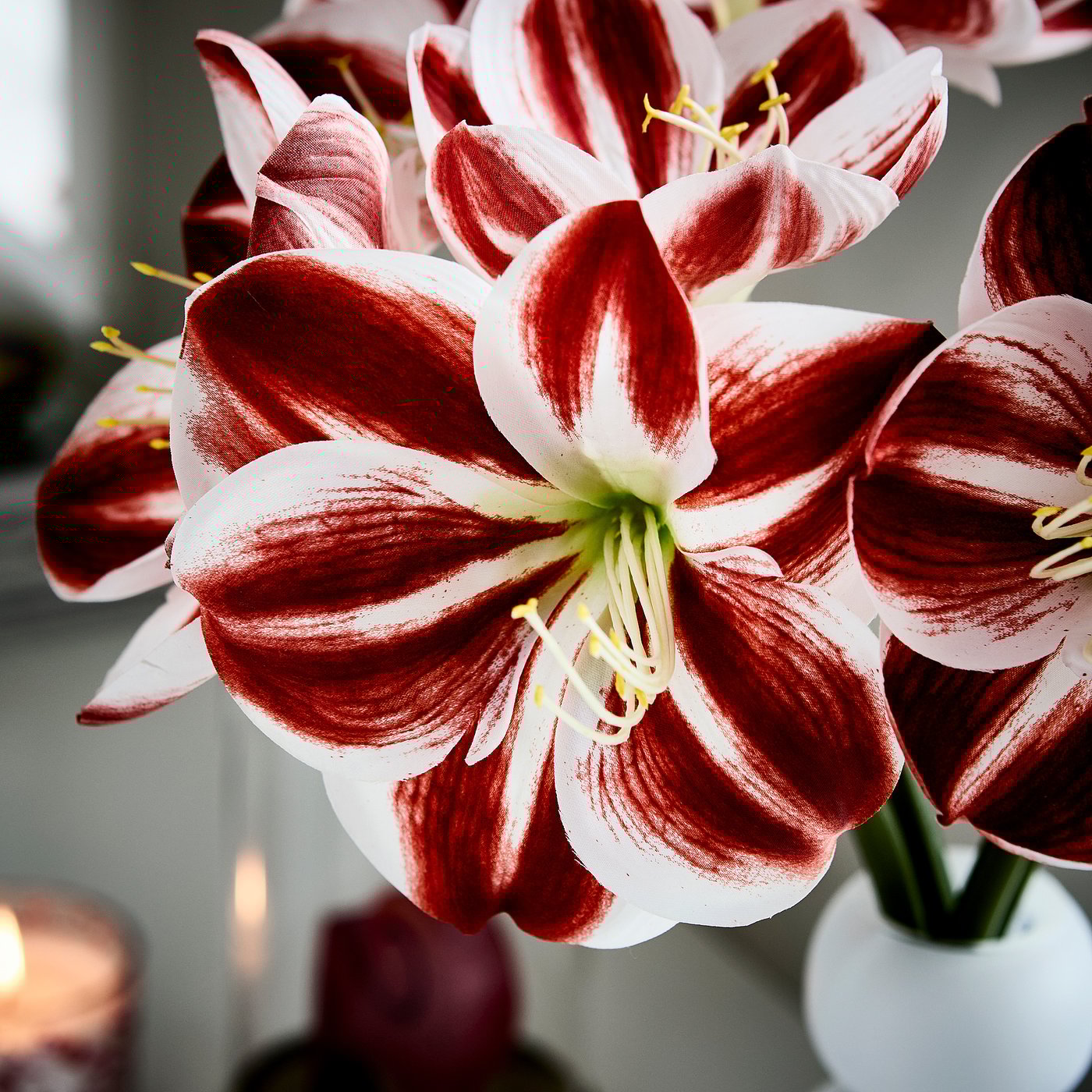 VINTERFINT artificial flower, in/outdoor Amaryllis/red white