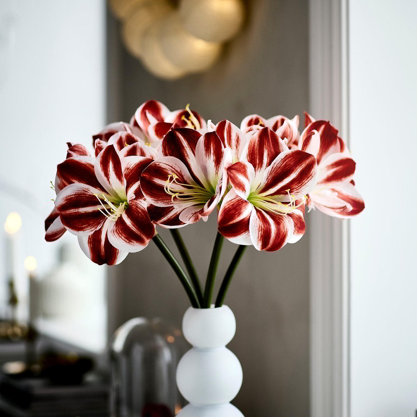 VINTERFINT artificial flower, in/outdoor Amaryllis/red white