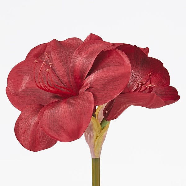 Ikea VINTERFINT - Artificial flower, in/outdoor Amaryllis/red, 60 cm