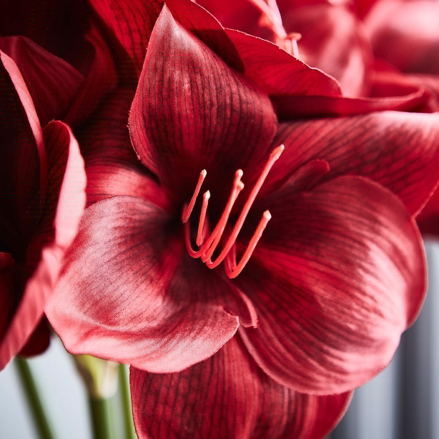 VINTERFINT artificial flower, in/outdoor Amaryllis/red