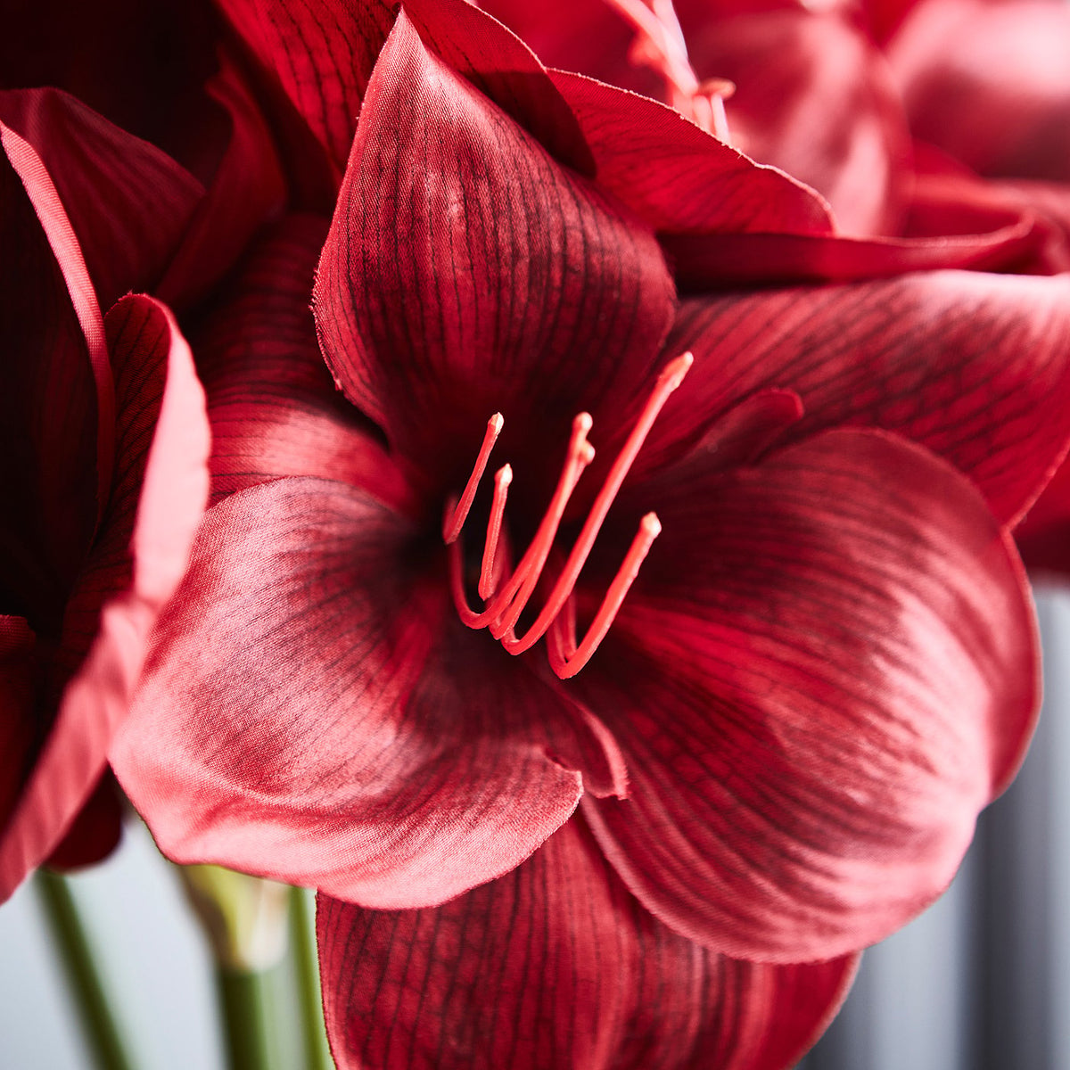 VINTERFINT artificial flower, in/outdoor Amaryllis/red, 60 cm