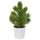 VINTERFINT artificial potted plant, in/outdoor Christmas tree/green, 6 cm