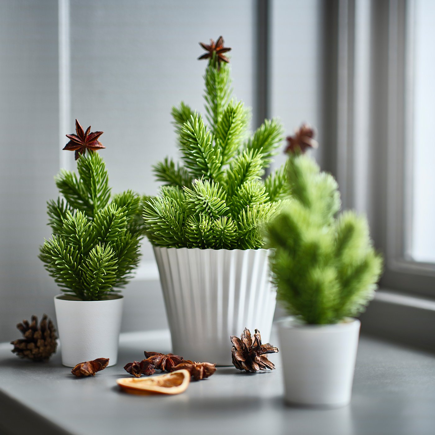 VINTERFINT artificial potted plant, in/outdoor Christmas tree/green, 6 cm