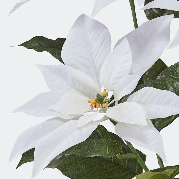 Ikea VINTERFINT - Artificial potted plant, in/outdoor Poinsettia/white, 12 cm