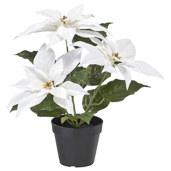 Ikea VINTERFINT - Artificial potted plant, in/outdoor Poinsettia/white, 12 cm