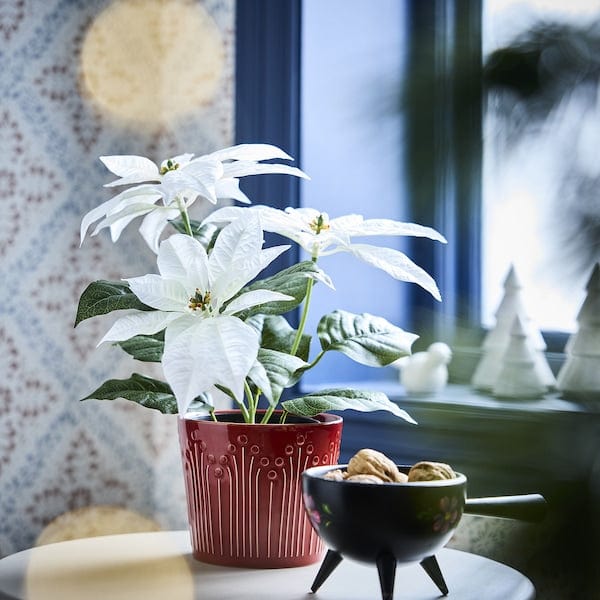 Ikea VINTERFINT - Artificial potted plant, in/outdoor Poinsettia/white, 12 cm