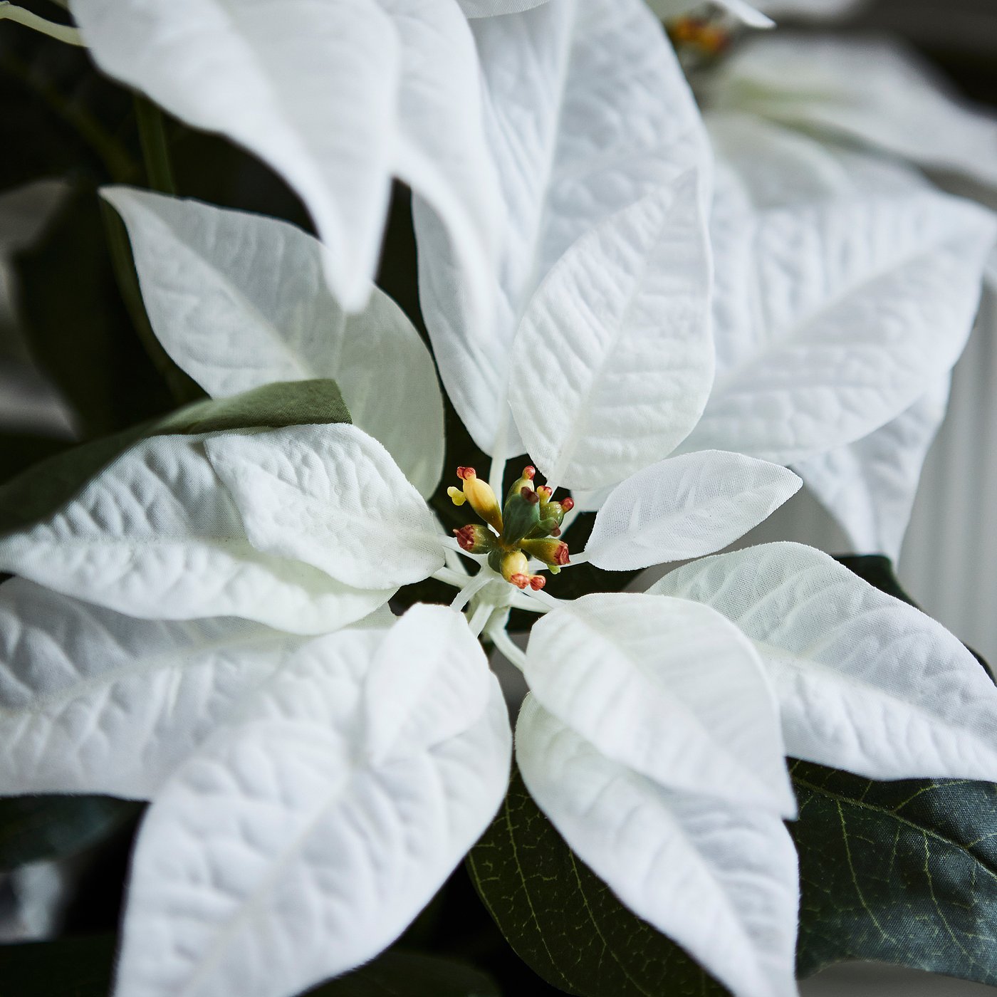 VINTERFINT artificial potted plant, in/outdoor Poinsettia/white, 12 cm