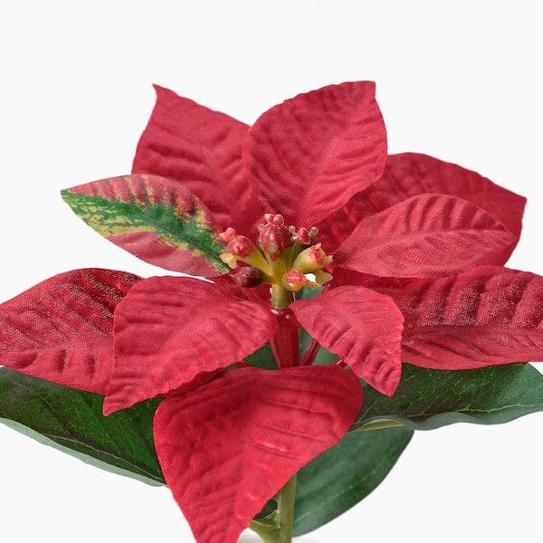 Ikea VINTERFINT - Artificial potted plant, in/outdoor Poinsettia/red, 6 cm